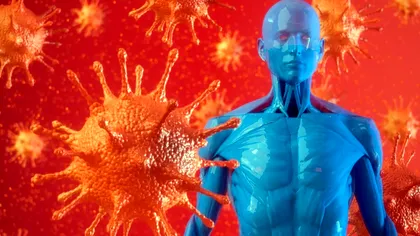 Oamenii de știință au descoperit o nouă armă a sistemului imunitar care ar putea duce la noi antibiotice