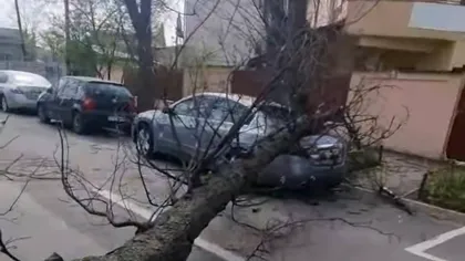 Copaci doborâți, mașini avariate, vijeliile au făcut prăpăd în București.  Cod roșu de fenomene meteo periculoase în mai multe zone din România