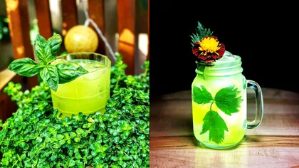 Cum faci un cocktail cu gin și busuioc incredibil de popular sau îl adaptezi cu arome românești, folosind leuștean - Gin Basil Smash cu Le Tribute