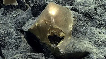 O nouă descoperire misterioasă în adâncurile oceanului: Ce este, de fapt, sfera aurie
