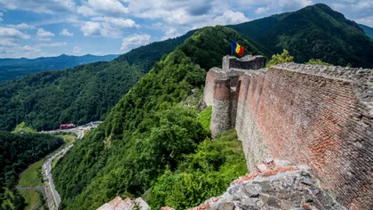 Cetatea Poenari a fost închisă temporar, după ce un urs a forțat gardul electric și a ajuns în zona destinată vizitatorilor