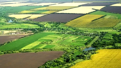 De ce cumpără străinii mult teren în România? Au luat deja 30.000 de hectare