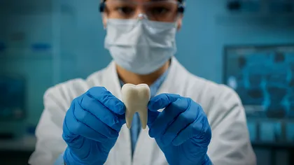 Pentru prima dată, dinți umani au fost crescuți în laborator. Descoperirea ar putea înlocui implanturile și plombele
