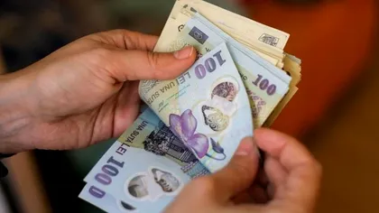 Dog Walking Business: Cum să transformi iubirea pentru câini într-o afacere profitabilă cu un buget de 1.000-3.000 euro