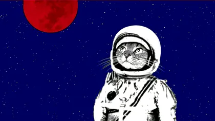 Trei animale despre care nu știai că au ajuns în spațiul cosmic, iar unul poate încă trăiește acolo sus, printre stele