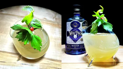 Cum faci un gin & tonic românesc cu leuștean și Wolfpack de la Măgura Zamfirei, cel mai bun gin din lume care își schimbă culoarea