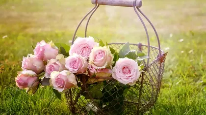 Mesaje de Florii 2025. Urări frumoase pentru cei care poartă nume de flori