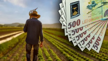 Primești 500 de lei de la stat dacă lași iarba să crească. Românii cu livezi nu știu de acest ajutor