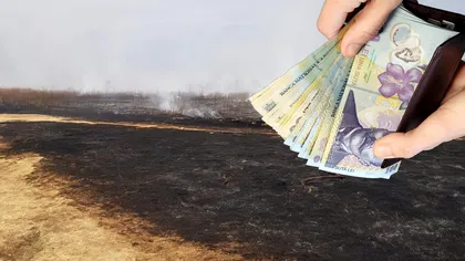 Ce pățești dacă arzi deșeuri ilegal în România. Cum îți poți reclama un vecin care face asta, amenzi de până la 70.000 de lei