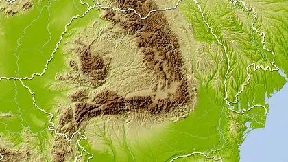 Care este cel mai periculos animal din România. Este protejat, însă provoacă multe morţi anual