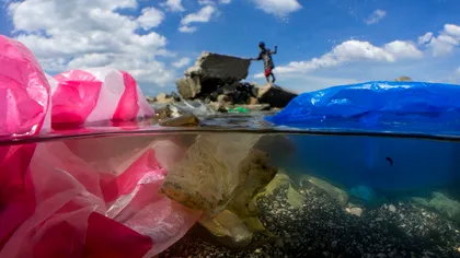 Reciclăm, dar nu destul: Motivul pentru care, în 2025, încă înotăm în plastic, conform oamenilor de știință
