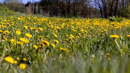 Surprize mari de la meteo la final de aprilie. Unde scad temperaturile