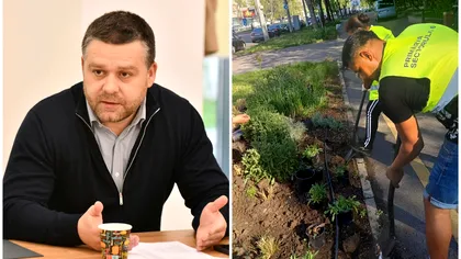 Ciprian Ciucu îi face de ruşine pe bucureştenii care fură florile din parcuri. Mesajul primarului Sectorului 6: ”Ce fac cu ele? Le vând?”