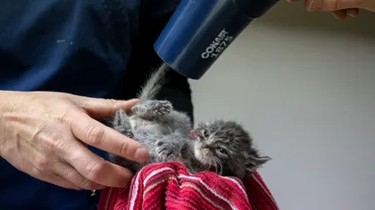 Vara descoperirilor extraordinare, pe National Geographic: Documentare care îți vor schimba perspectiva asupra lumii