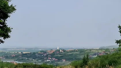 Localitatea din România invadată de animale periculoase. Oamenilor le e teamă să iasă din case: „Am filmat azi una în curte”