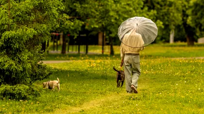 Cum va fi vremea în ziua alegerilor? Zonele în care temperaturile cresc, se anunţă soare