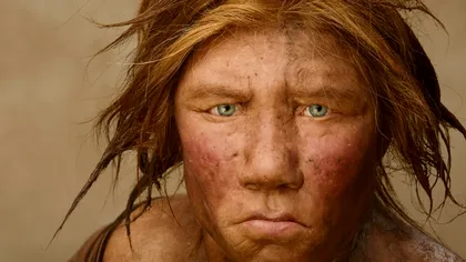 O suliță veche de 80.000 de ani redeschide dezbaterea despre inteligența Neanderthalienilor. Cât de deștepți erau, de fapt, acești strămoși ai oamenilor