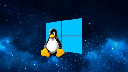 Cum să aduci un manager de pachete Linux pe Windows, dacă ești fan. Trucuri pentru o viață mai ușoară