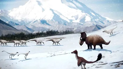 Cum arăta habitatul dinozaurilor polari, de acum 120 de milioane de ani. Imaginea care te plimbă prin trecut