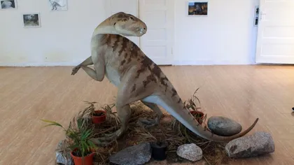 Oraşul din România plin de dinozauri. Sunt unici în lume, trăiau aici acum 70 de milioane de ani