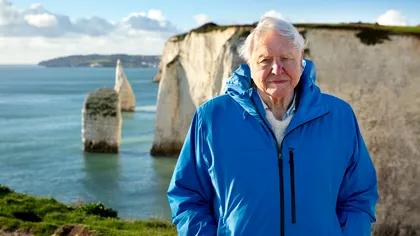 Cel mai nou documentar al lui Sir David Attenborough îți arată cât de mult rău fac oamenii oceanului. Când vezi OCEAN la cinema și de ce ar trebui să o faci