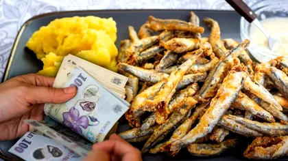 Cât costă o porție de hamsii pe litoralul românesc în 2025. Prețurile din restaurante, surprinzătoare pentru turiști