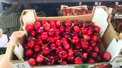Cât costă un kilogram de cireșe direct de la poarta fermierilor. Prețul pe care îl cer pentru fructele proaspăt culese din livadă