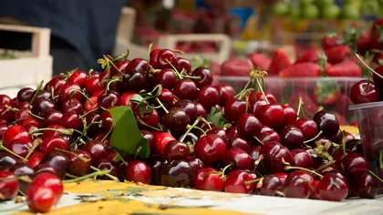 Ce prețuri sunt în piețele din Grecia. Cumpărăturile din târguri reduc mult cheltuielile pe mâncare în vacanță