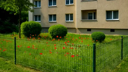 Cine deţine terenul de lângă bloc? Mulţi români îl îngrădesc fără să ştie ce scrie în lege