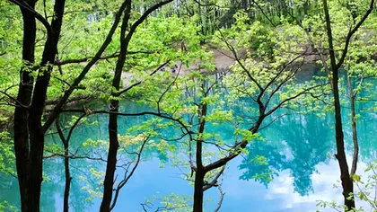 Lacul din România care își schimbă culoarea în funcție de anotimp. Este unic în Europa, cum se explică fenomenul