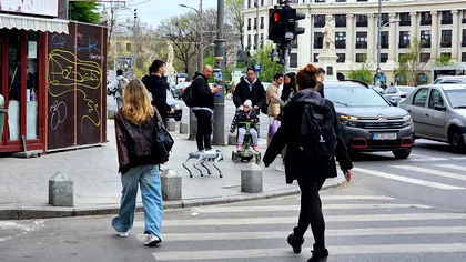 Ritmul în care mergi pe stradă îți arată vârsta reală a creierului și cât de repede îmbătrânești