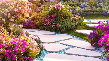 Planta de 10.000 de euro pe care toți românii o vor în grădină. Transformă pe loc orice curte