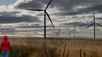 Județul din România care devine o forță în Europa pe regenerabile. Va avea al doilea cel mai mare parc de turbine eoliene din țară