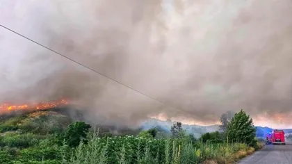 Incendiu de proporții în Aninoasa. Flăcările s-au extins pe un hectar