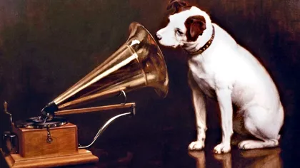 Cum vrea inteligența artificială să „vorbească” cu animalele. În Marea Britanie se construiește un centru științific dedicat