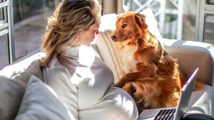 O femeie iubitoare de animale a postat pe Instagram o fotografie cu cei trei câini ai săi, dar s-a trezit cu o amendă de zeci de mii de euro. Greşeala care i-a făcut paguba