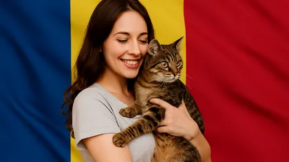 Românii, cei mai mari iubitori de pisici din Uniunea Europeană, conform unui studiu