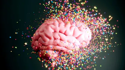 Dopamina, mesagerul invizibil: cum funcționează, de fapt, în creier și ce schimbă noua descoperire făcută de cercetători