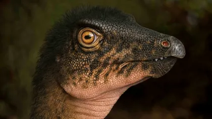 Descoperire norocoasă sub parcarea unui muzeu. Cum au găsit o fosilă de dinozaur chiar „în curtea lor”