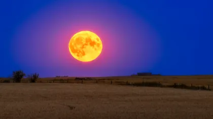 Spectacol pe cer - Luna-plină a verii: Buck Moon 2025, cea mai îndepărtată Lună plină de Soare din acest an