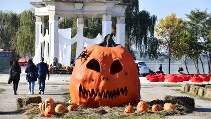 Unde se va ţine West Side Hallo Fest, în 2025? Primăria Sectorului 6 a făcut anunţul, după ce insula de pe Lacul Morii a intrat în renovare