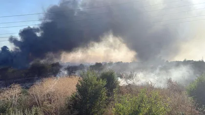 Incendiu de vegetație uscată la Clinceni, Ilfov. Este pericol de propagare la case, se evacuează populaţia. Update