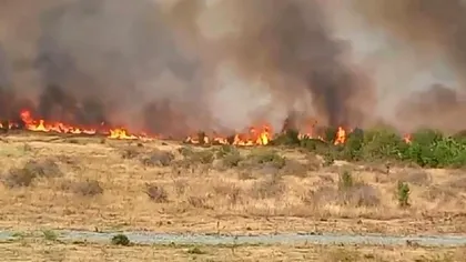 Incendiu devastator în Gorj: sute de hectare mistuite, locuitorii fug cu copiii în brațe, voluntarii ajută cu tractoarele la Târgu Jiu