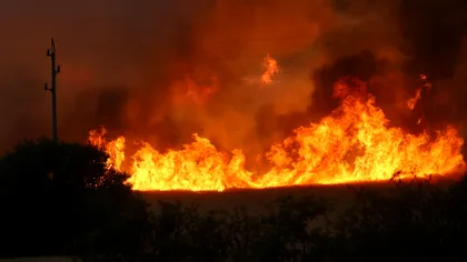Județul din România unde incendiile de vegetație au crescut cu 85% față de anul trecut. Autoritățile sunt în alertă