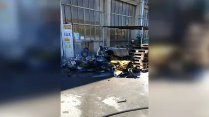 Momentul în care avionul pilotat de Vlad Zgărdău se prăbușește în curtea fabricii de vagoane din Arad, surprins de camere. Focul a izbucnit imediat
