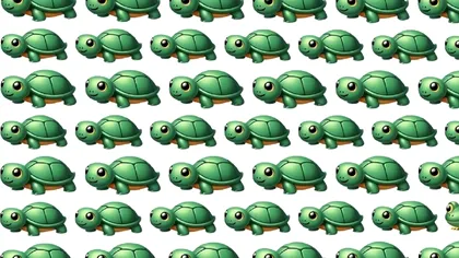 Test special de atenţie. Găseşte broasca ţestoasă ciudată din imagine! Ai doar 4 secunde la dispoziţie