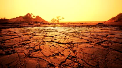 Continentele Pământului se usucă într-un ritm fără precedent, avertizează un nou studiu: Care sunt efectele, cum ne afectează
