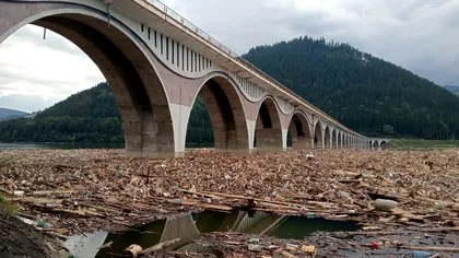 Stare de alertă în Neamț din cauza adunării masive de deşeuri şi cadavre de animale pe lacul de acumulare Izvorul Muntelui - Bicaz