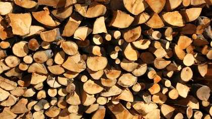 Cum şi unde se depozitează lemnele de foc pentru a nu se umezi: aşa vor arde corect în sobă