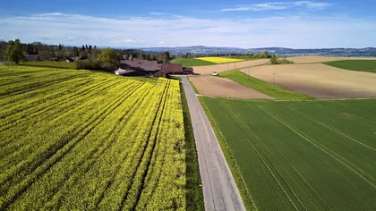 Ce este dreptul de preempțiune? Schimbarea în cazul terenurilor agricole